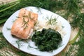 Fresh salmon Royalty Free Stock Photo