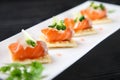 Fresh Salmon Carpaccio on white plate