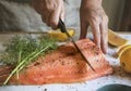 Fresh salmon with dill food photography recipe idea