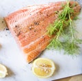 Fresh salmon with dill food photography recipe idea