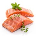 Fresh salmon filets on transparent background Royalty Free Stock Photo