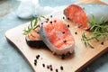 Fresh salmon filets Royalty Free Stock Photo