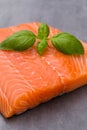 Fresh salmon fille with spice on the grey background. Royalty Free Stock Photo