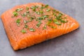 Fresh salmon fille with spice on the grey background. Royalty Free Stock Photo