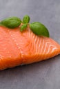 Fresh salmon fille with spice on the grey background. Royalty Free Stock Photo