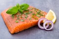 Fresh salmon fille with spice on the grey background. Royalty Free Stock Photo