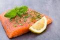 Fresh salmon fille with spice on the grey background. Royalty Free Stock Photo