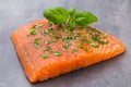 Fresh salmon fille with spice on the grey background. Royalty Free Stock Photo