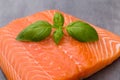 Fresh salmon fille with spice on the grey background. Royalty Free Stock Photo