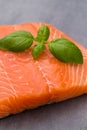 Fresh salmon fille with spice on the grey background. Royalty Free Stock Photo