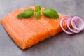 Fresh salmon fille with spice on the grey background. Royalty Free Stock Photo