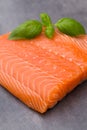 Fresh salmon fille with spice on the grey background. Royalty Free Stock Photo