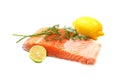 Fresh salmon fillet with herbs.