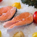 Fresh salmon fillet on ice.