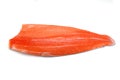 Fresh salmon fillet isolated