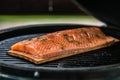Fresh salmon fillets being cooked on grill