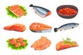 Fresh salmon fish set, fillet, steak and caviar, seafood product vector Illustrations on a white background