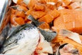 Fresh salmon, Salmon fish sliced at the fish market