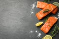 Fresh salmon and ingredients for marinade on black table, flat lay. Space for text Royalty Free Stock Photo
