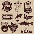 Fresh salmon labels set