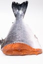 fresh salmon over white background Royalty Free Stock Photo