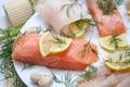 fresh salmon Royalty Free Stock Photo