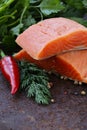 Fresh salmon (red fish) fillet with herbs, spices and vegetables Royalty Free Stock Photo