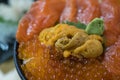 Fresh salmon and sea urchin rice bowl Royalty Free Stock Photo