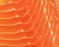 Fresh salmon steak close up Royalty Free Stock Photo