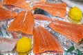 Fresh salmon steaks Royalty Free Stock Photo