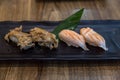 Fresh salmon sushi  Japanese food restaurant, salmon sushi on plate. Sushi platter with a mixed variety of the Japanese delicacy a Royalty Free Stock Photo