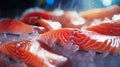 Fresh salmon or trout fish fillet on ice, ready for cooking. Storing fresh chilled fish. Close-up Royalty Free Stock Photo