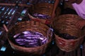 Fresh saltwater fish caught by Indonesian traditional fisherman on bamboo baskets at night Royalty Free Stock Photo