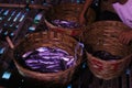 Fresh saltwater fish caught by Indonesian traditional fisherman on bamboo baskets at night Royalty Free Stock Photo