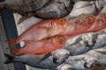 Fresh saltwater fish is on sale. Royalty Free Stock Photo
