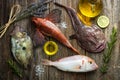 Fresh saltwater fish Royalty Free Stock Photo