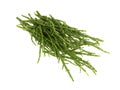Fresh Samphire Royalty Free Stock Photo
