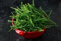 Fresh samphire in a red bowl on black background Royalty Free Stock Photo