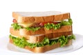 Fresh sandvich with vegetables and tomatoes Royalty Free Stock Photo