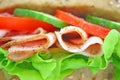 Fresh sandwich with ham and cheese Royalty Free Stock Photo