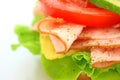 Fresh sandwich with ham and cheese and vegetables Royalty Free Stock Photo