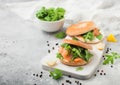 Fresh sandwiches with salmon and bagel, cream cheese and wild rocket in white bowl on light table Royalty Free Stock Photo