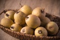 Fresh sapodilla in basket tropical fruit evergreen tree and sweet taste fruit Royalty Free Stock Photo