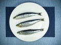 Fresh sardine Royalty Free Stock Photo