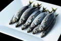 Fresh sardine on a white plate Royalty Free Stock Photo