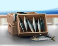 Fresh sardine in the wooden crate from the sea Royalty Free Stock Photo