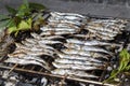 Fresh sardines, mackerel fishes on BBQ grill