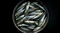 Fresh sardines neatly arranged in a round metal bowl on dark background. Culinary seafood concept. Close-up of raw fish