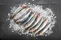 Fresh sardines on a coarse salt layer over a slate background Royalty Free Stock Photo