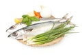 Fresh sardines on a plate Royalty Free Stock Photo